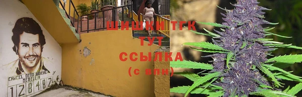 ECSTASY Володарск